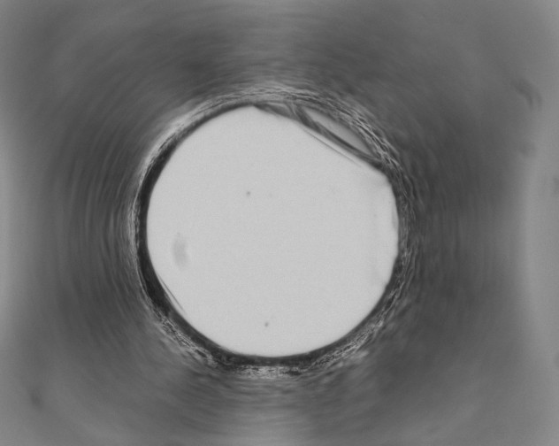 X0000111190244200908121054