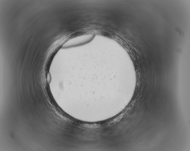 X0000111190245200908121054