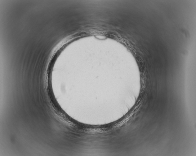 X0000111190246200908121054