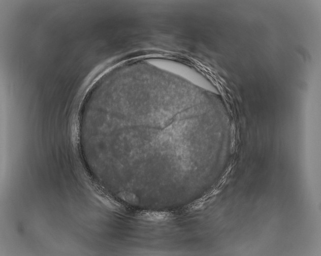 X0000111190247200908121054