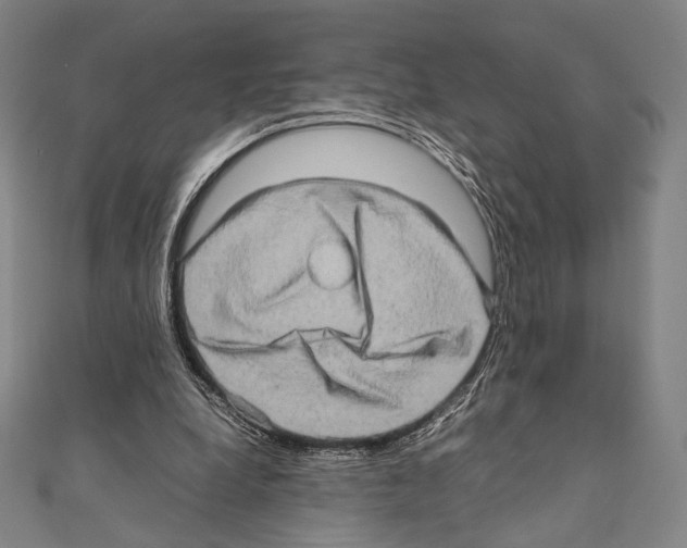 X0000111190248200908121054