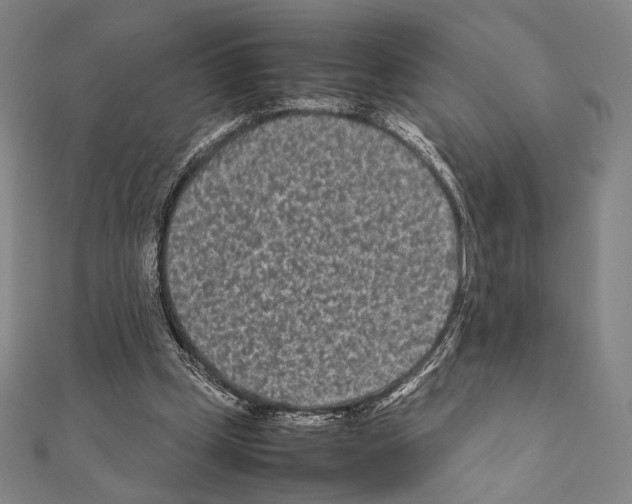 X0000111190249200908121054