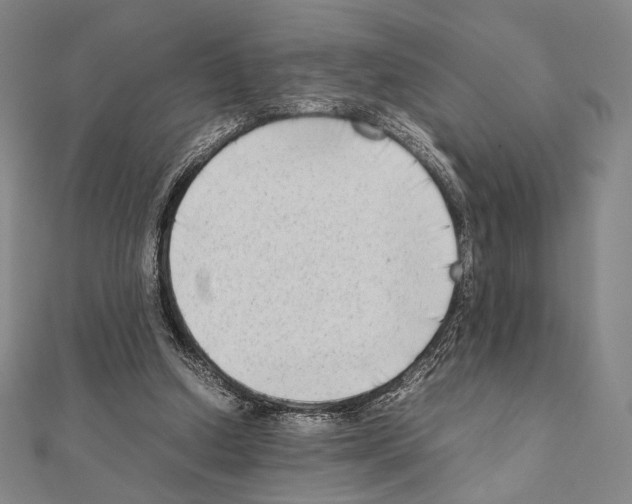 X0000111190250200908121054