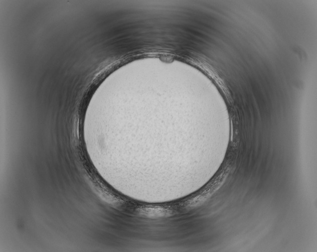 X0000111190253200908121054