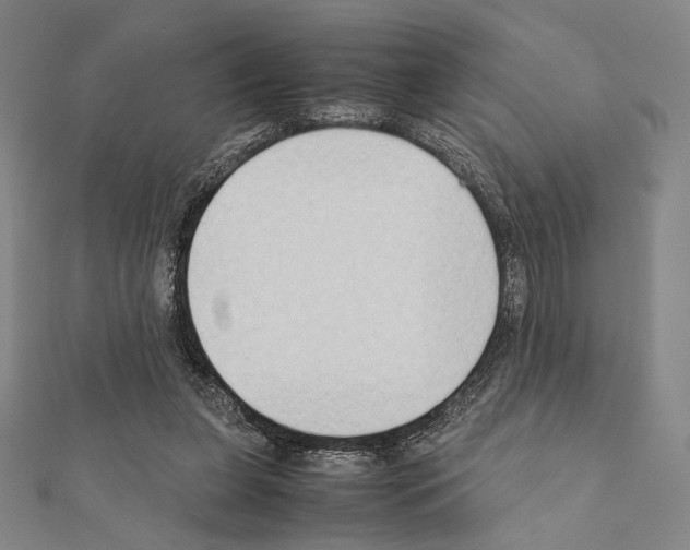 X0000111190255200908121054