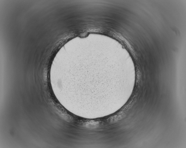 X0000111190257200908121054