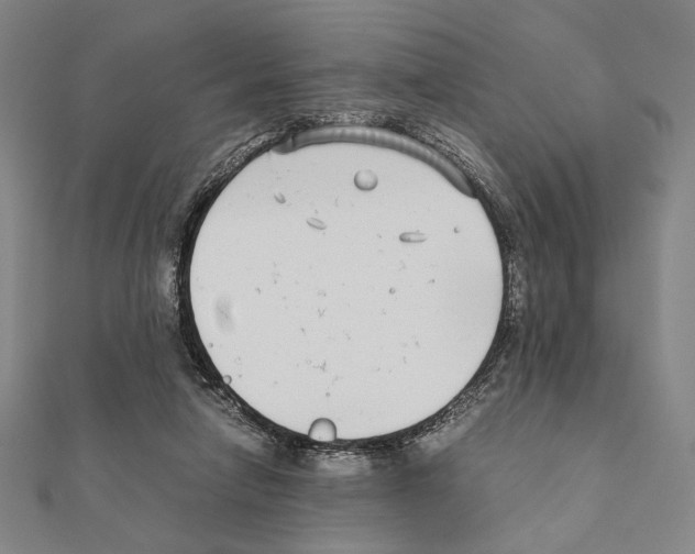 X0000111190258200908121054