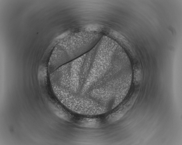 X0000111190260200908121054