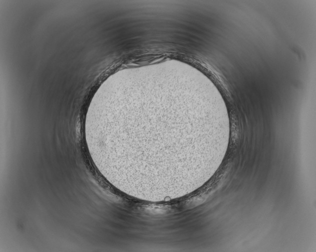 X0000111190261200908121054