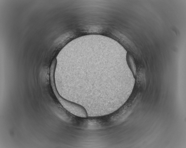 X0000111190264200908121054