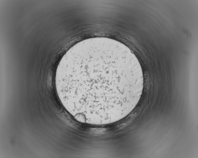 X0000111190266200908121054