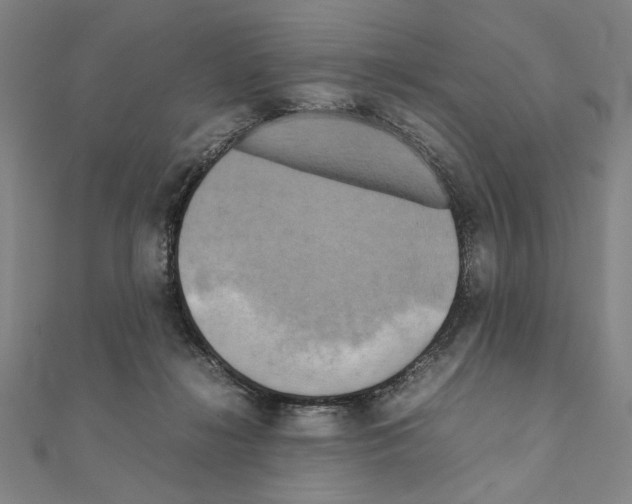 X0000111190268200908121054