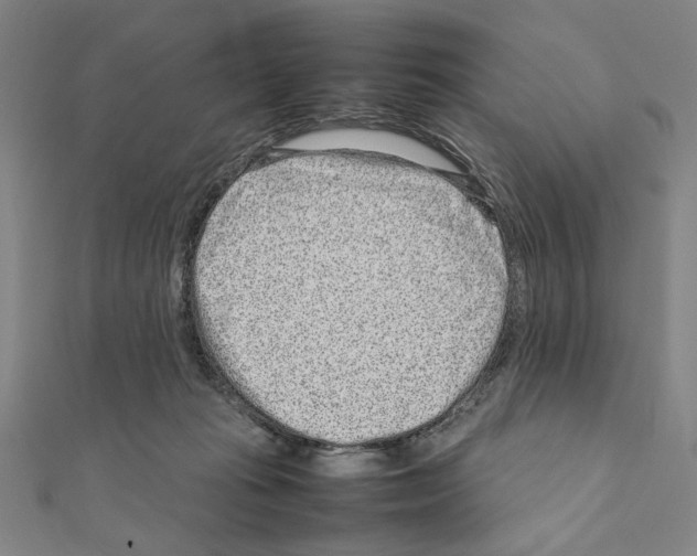 X0000111190269200908121054