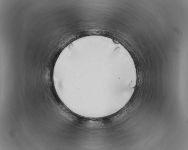 X0000111190270200908121054