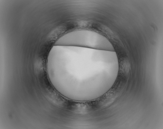X0000111190272200908121054