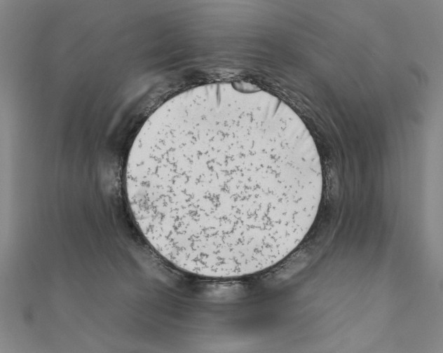 X0000111190274200908121054