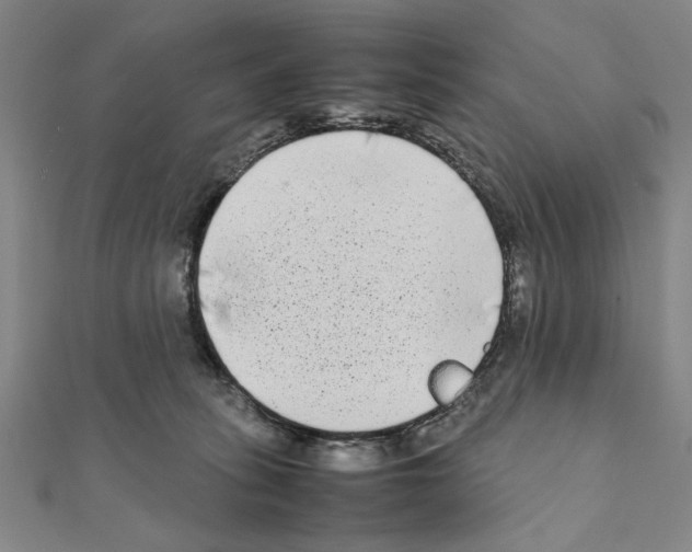X0000111190275200908121054