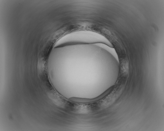 X0000111190276200908121054