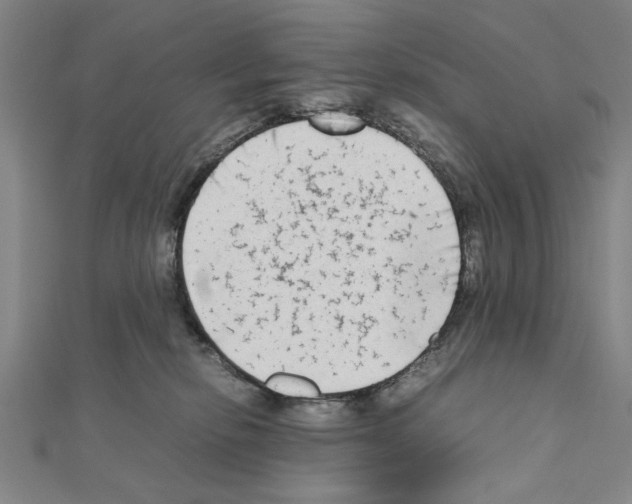 X0000111190278200908121054