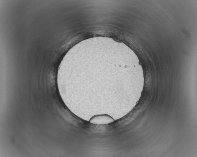 X0000111190282200908121054