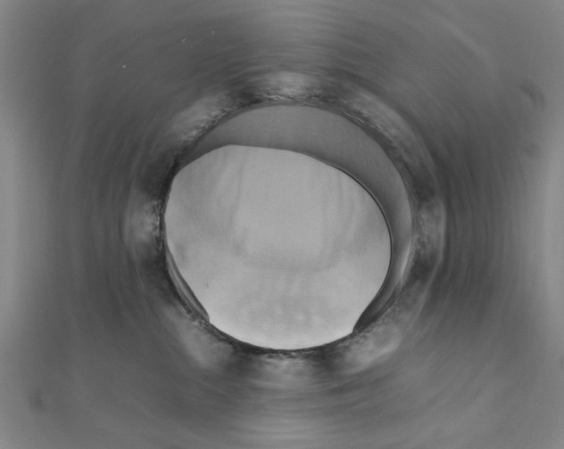 X0000111190284200908121054