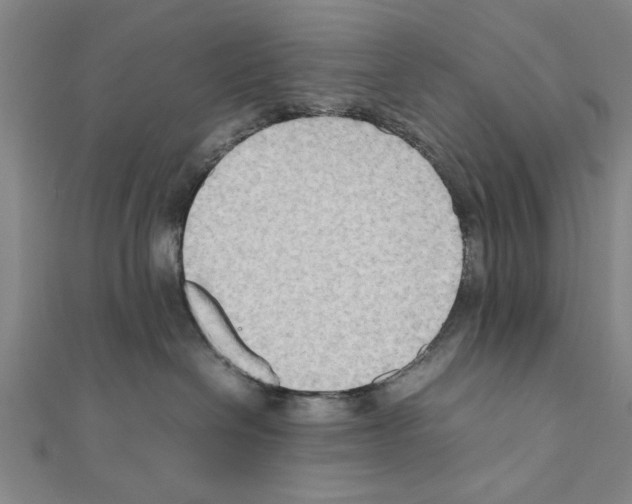 X0000111190286200908121054