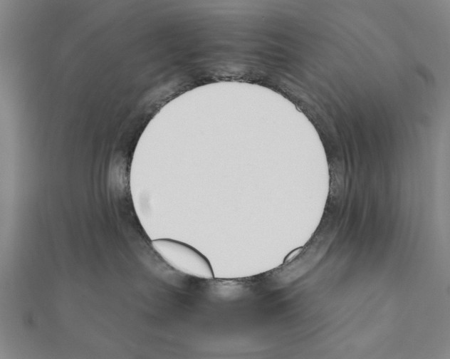 X0000111190287200908121054