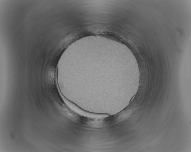 X0000111190288200908121054