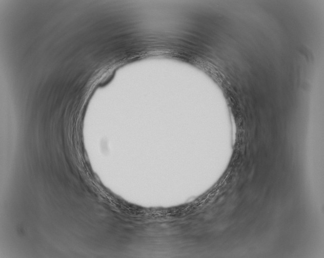 X0000111190289200908121054