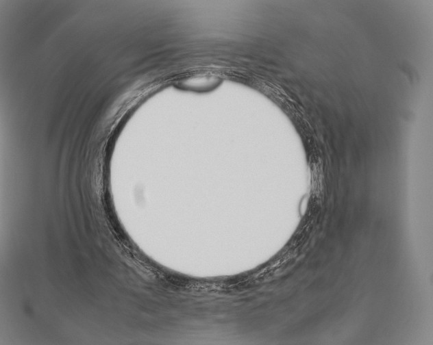 X0000111190291200908121054
