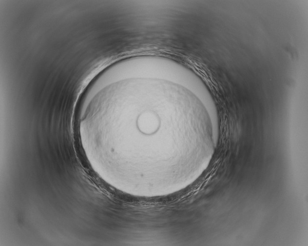 X0000111190292200908121054