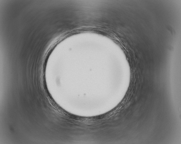 X0000111190293200908121054