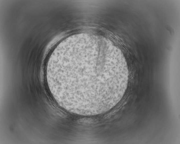 X0000111190294200908121054