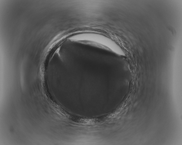 X0000111190295200908121054