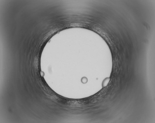 X0000111190297200908121054