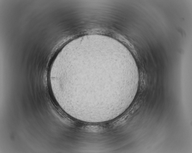 X0000111190298200908121054