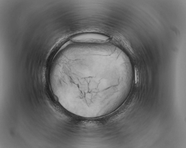 X0000111190300200908121054