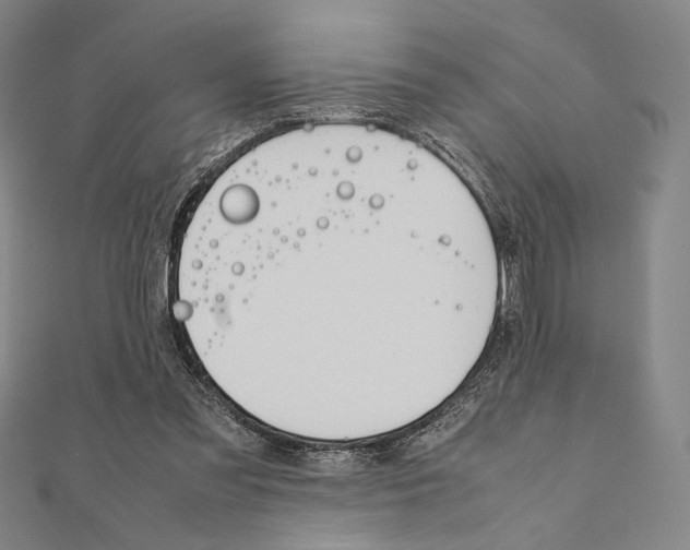 X0000111190301200908121054