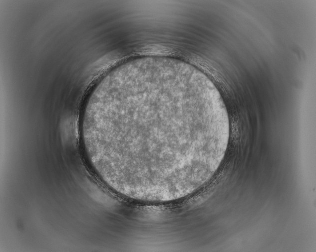X0000111190302200908121054