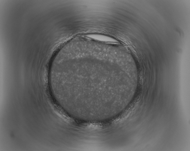 X0000111190303200908121054