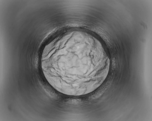 X0000111190304200908121053