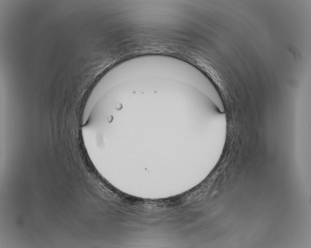 X0000111190305200908121053