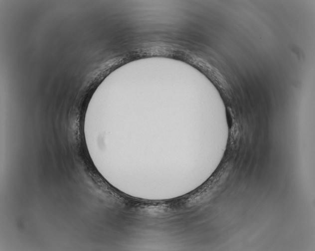 X0000111190306200908121053
