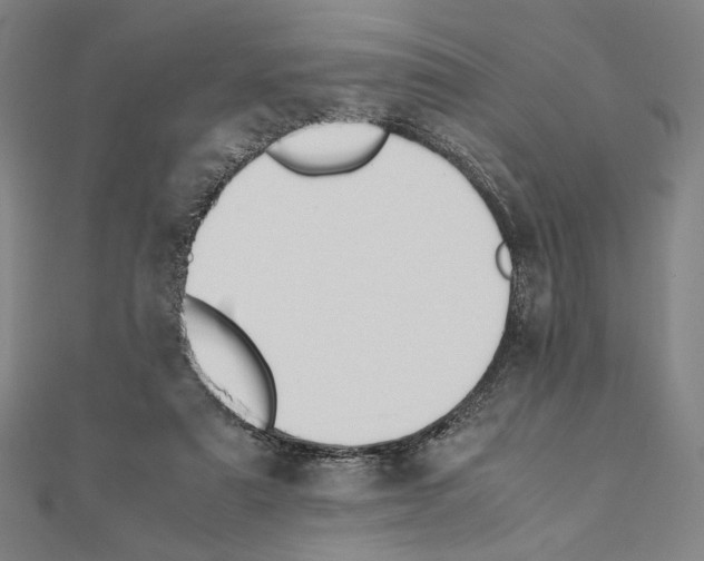 X0000111190307200908121053