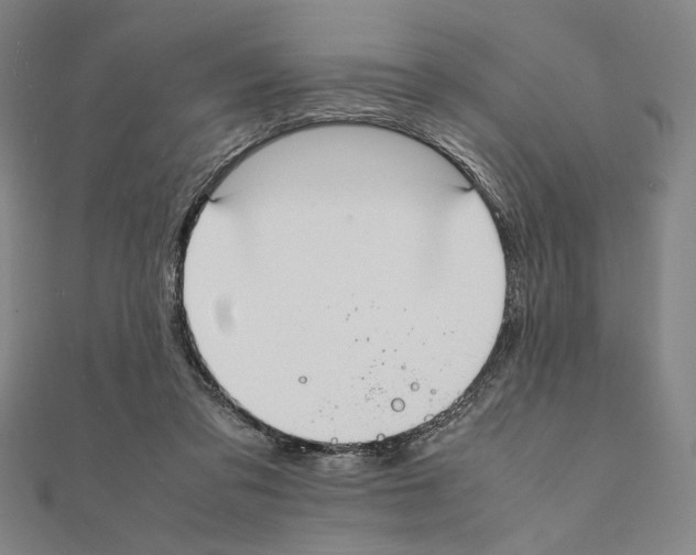 X0000111190309200908121053