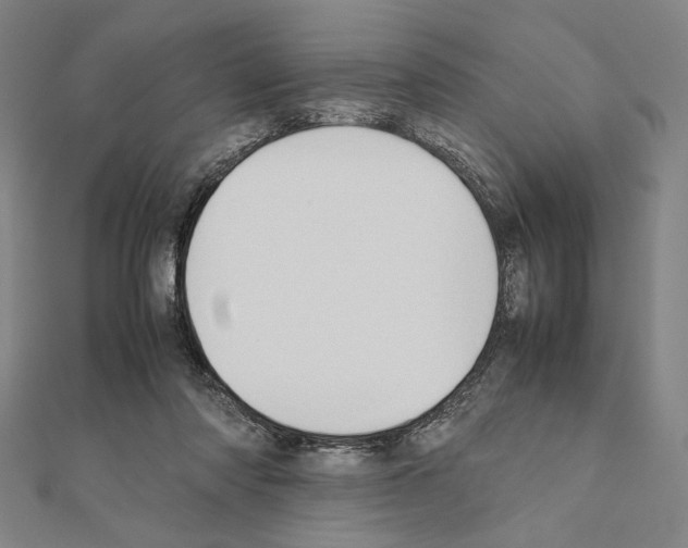 X0000111190310200908121053