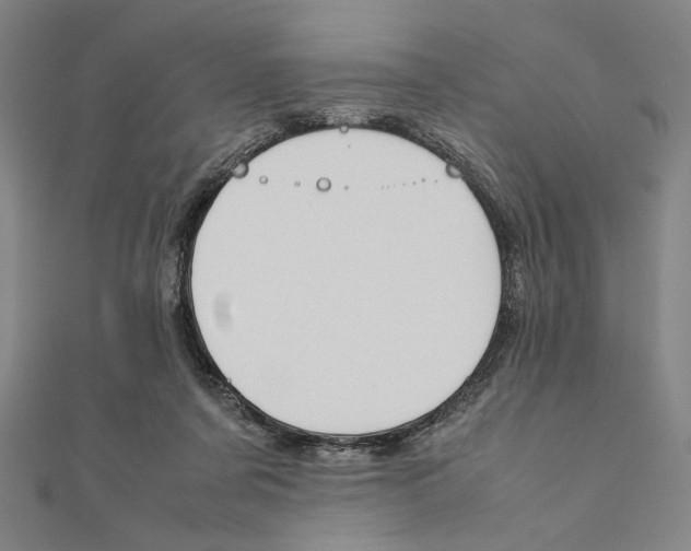 X0000111190311200908121053