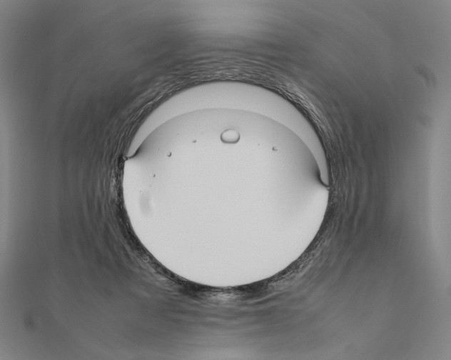 X0000111190313200908121053
