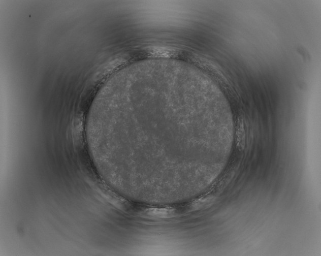 X0000111190314200908121053
