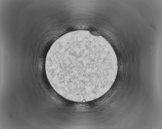 X0000111190315200908121053
